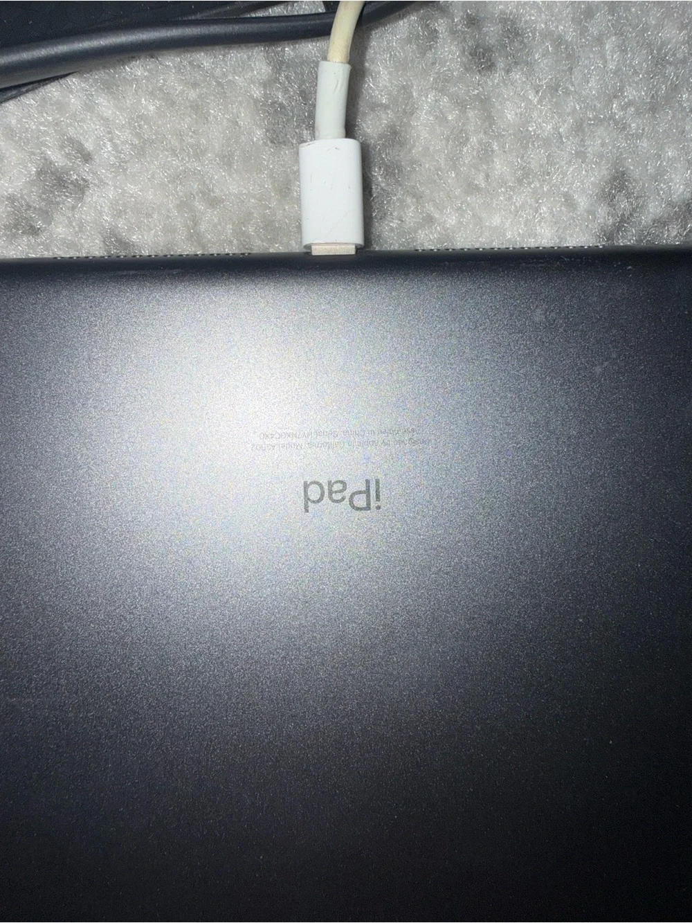 Apple iPad in Black with White Apple Pencil